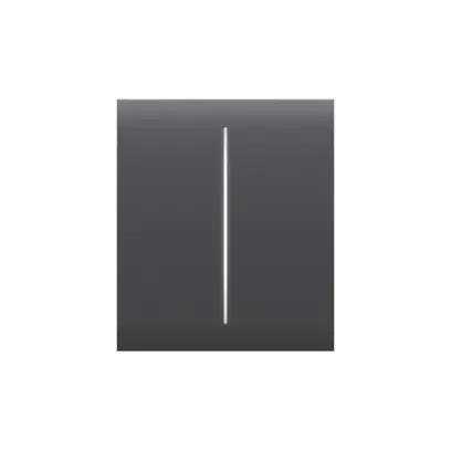 Ajax CenterButton, dvoutlačítkový, grafitová